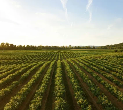 There are many variations of passages of Lorem Ipsum available, but majority have suffered teration in some form, by injected humour, or randomised words which don't look even slight believable. If you are going to use a passage of Lorem Ipsum.