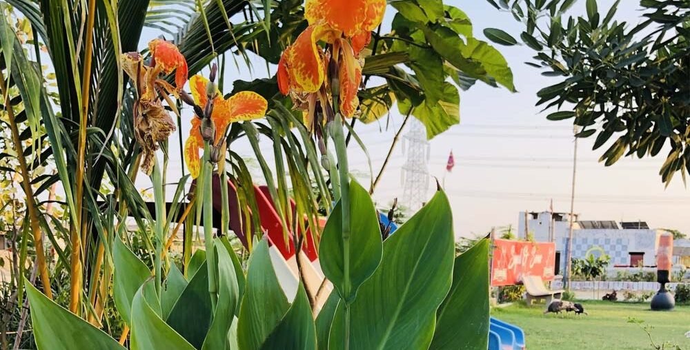 Organic farms avoid toxic inputs, improve soil health, grow clean, sustainable food that supports nature.