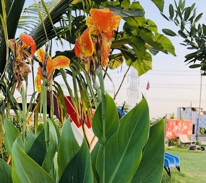 Organic farms avoid toxic inputs, improve soil health, grow clean, sustainable food that supports nature.