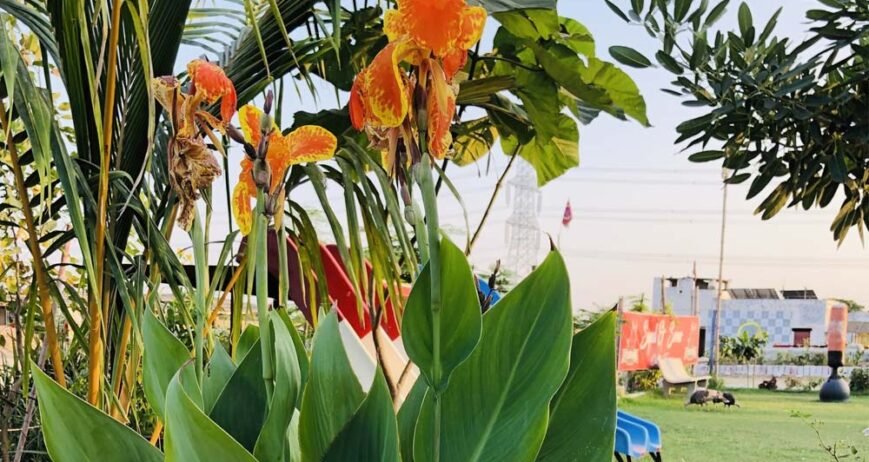 Organic farms avoid toxic inputs, improve soil health, grow clean, sustainable food that supports nature.