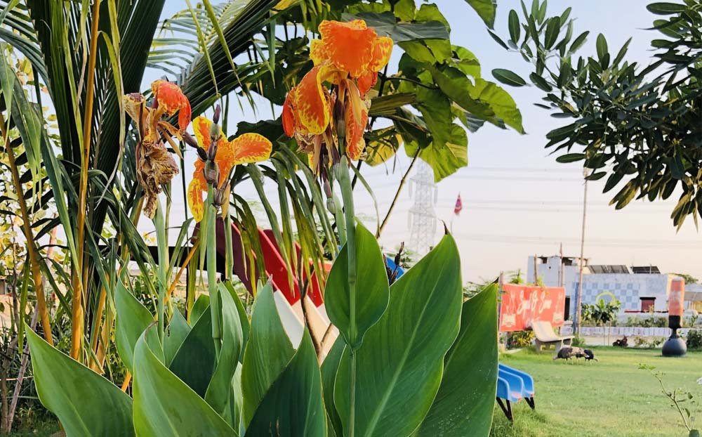 Organic farms avoid toxic inputs, improve soil health, grow clean, sustainable food that supports nature.