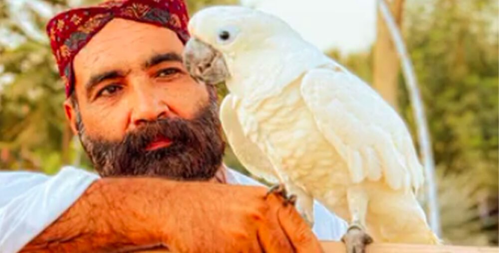 Organic farms avoid toxic inputs, improve soil health, grow clean, sustainable food that supports nature.