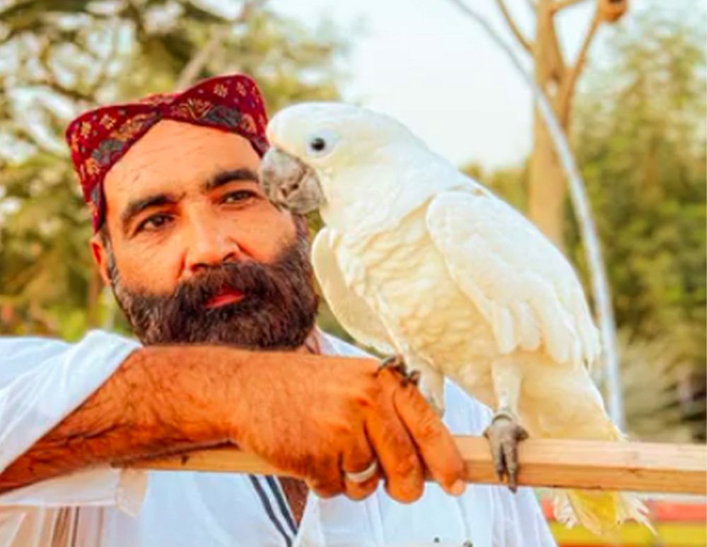 Organic farms avoid toxic inputs, improve soil health, grow clean, sustainable food that supports nature.