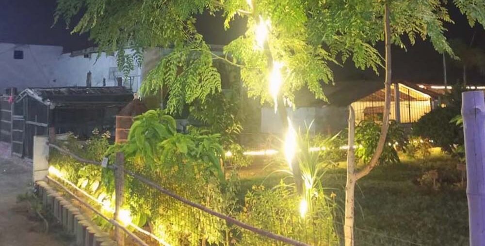 Organic farms avoid toxic inputs, improve soil health, grow clean, sustainable food that supports nature.