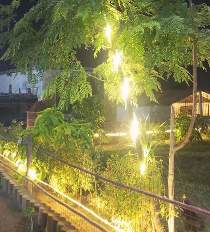 Organic farms avoid toxic inputs, improve soil health, grow clean, sustainable food that supports nature.