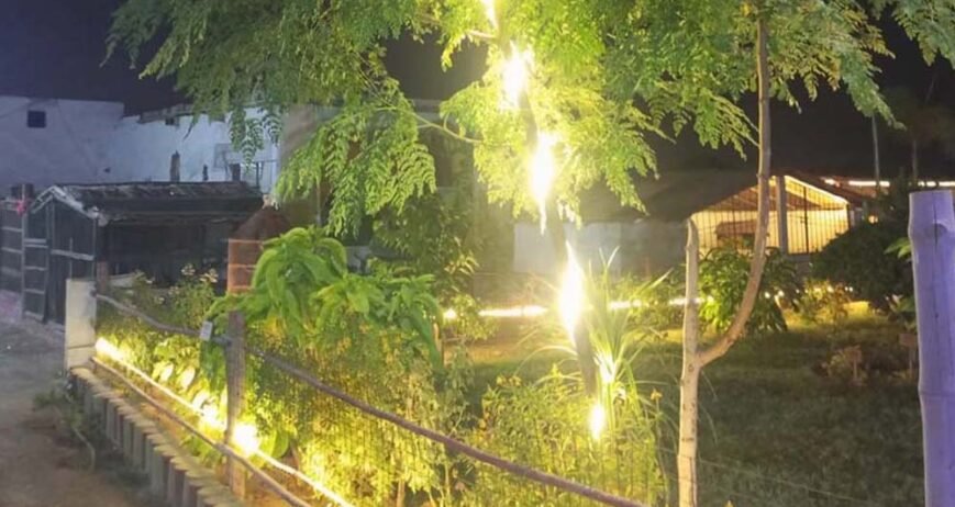 Organic farms avoid toxic inputs, improve soil health, grow clean, sustainable food that supports nature.