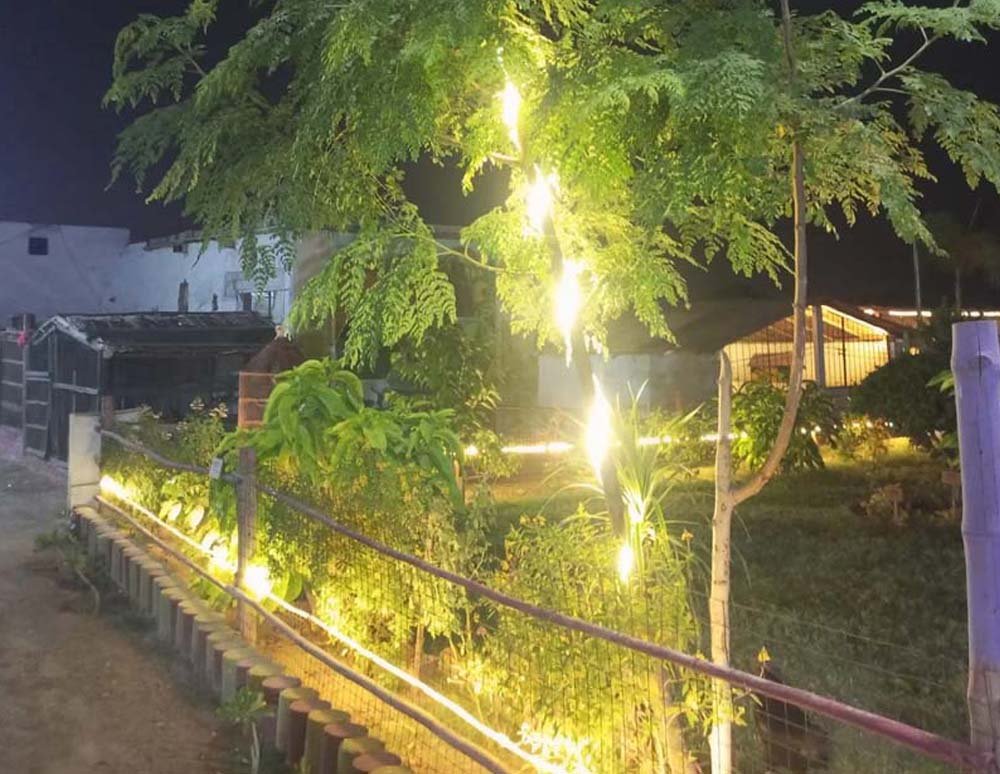 Organic farms avoid toxic inputs, improve soil health, grow clean, sustainable food that supports nature.