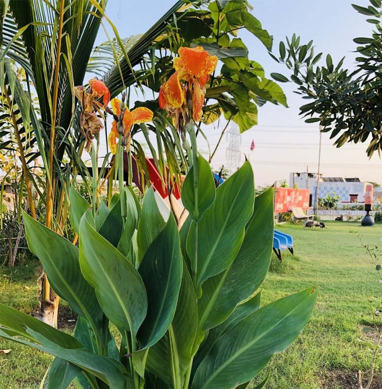 There are many variations of passages of Lorem Ipsum available, but majority have suffered teration in some form, by injected humour, or randomised words which don't look even slight believable. If you are going to use a passage of Lorem Ipsum.