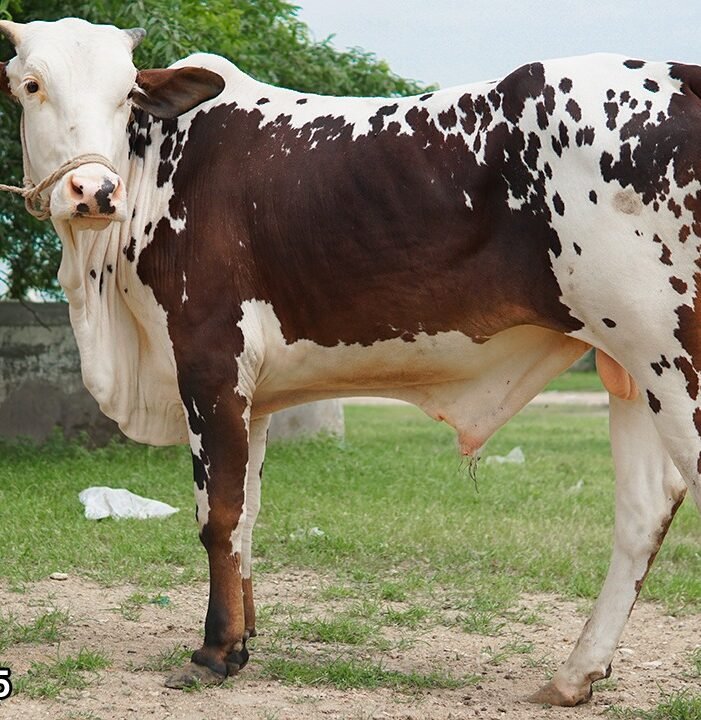 Organic farms avoid toxic inputs, improve soil health, grow clean, sustainable food that supports nature.