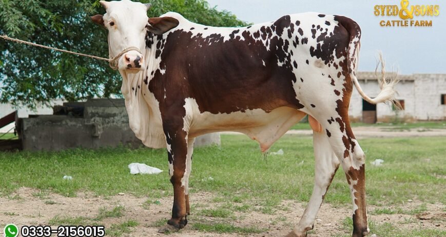 Organic farms avoid toxic inputs, improve soil health, grow clean, sustainable food that supports nature.