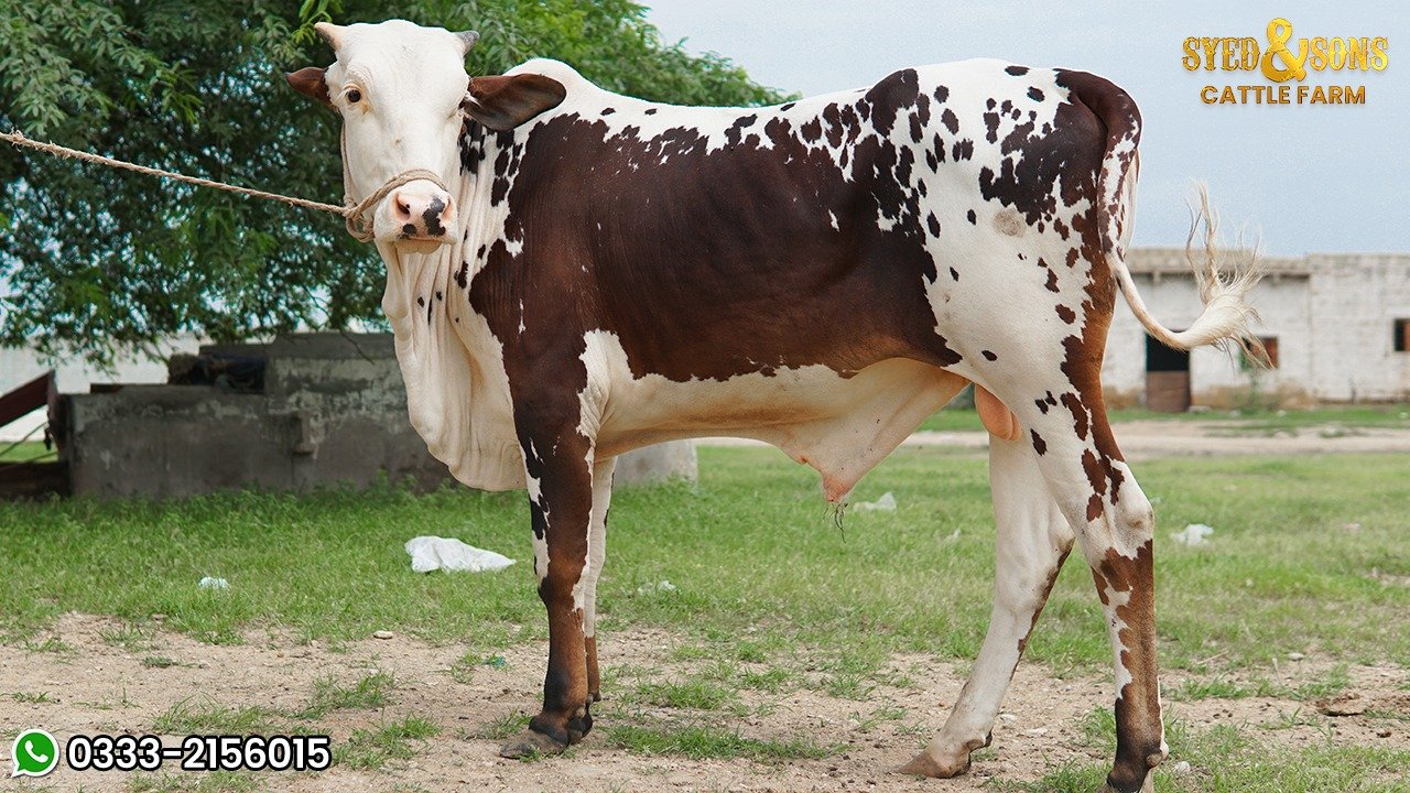 Organic farms avoid toxic inputs, improve soil health, grow clean, sustainable food that supports nature.