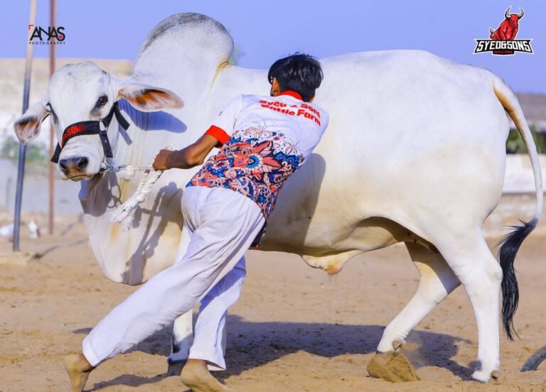 There are many variations of passages of Lorem Ipsum available, but majority have suffered teration in some form, by injected humour, or randomised words which don't look even slight believable. If you are going to use a passage of Lorem Ipsum.