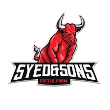 SyedandSons